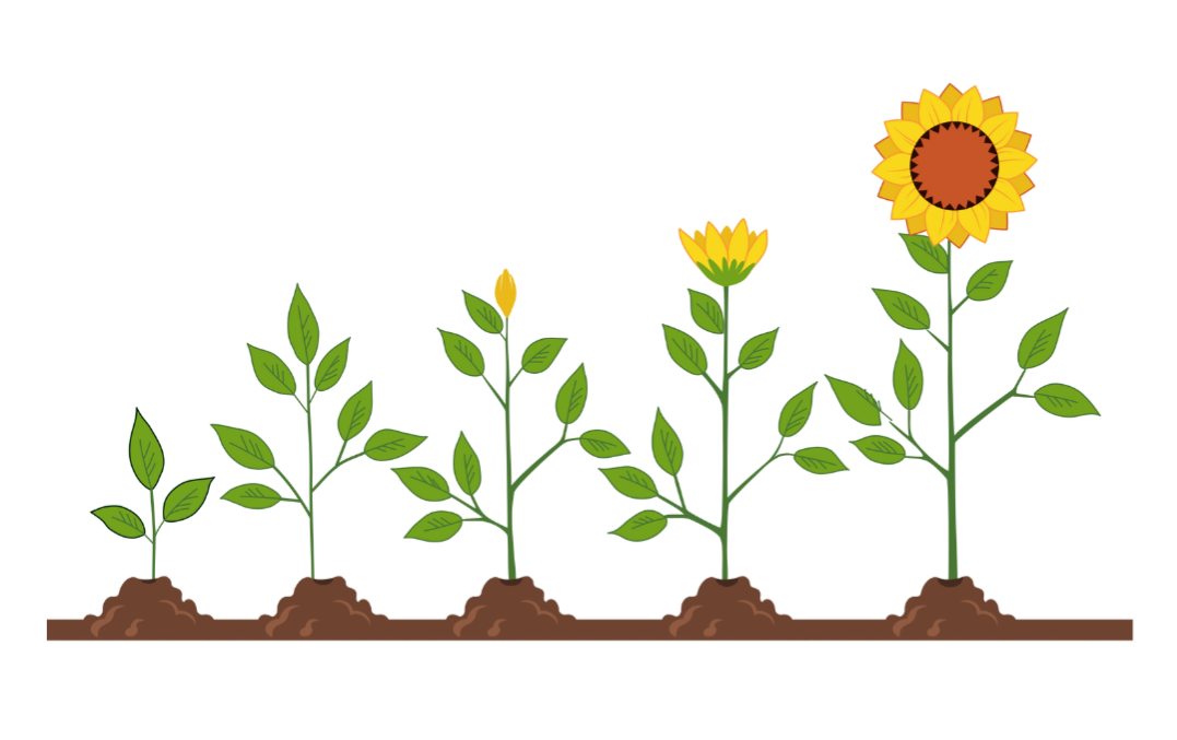 scale-flowers